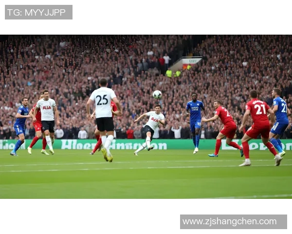 球迷文化的兴起与发展：从激情助威到社交网络时代的粉丝生态